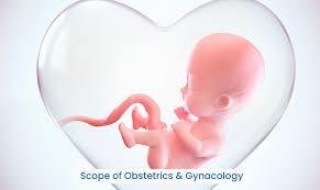 Best Obstetrics in Indirapuram